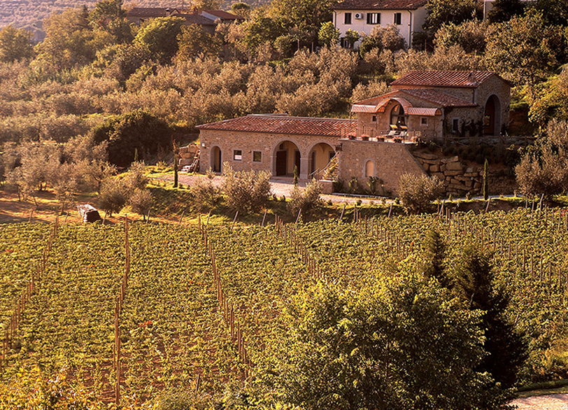 Azienda Agricola Baracchi vini di Cortona